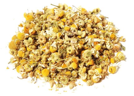 Camomile Organic 1129